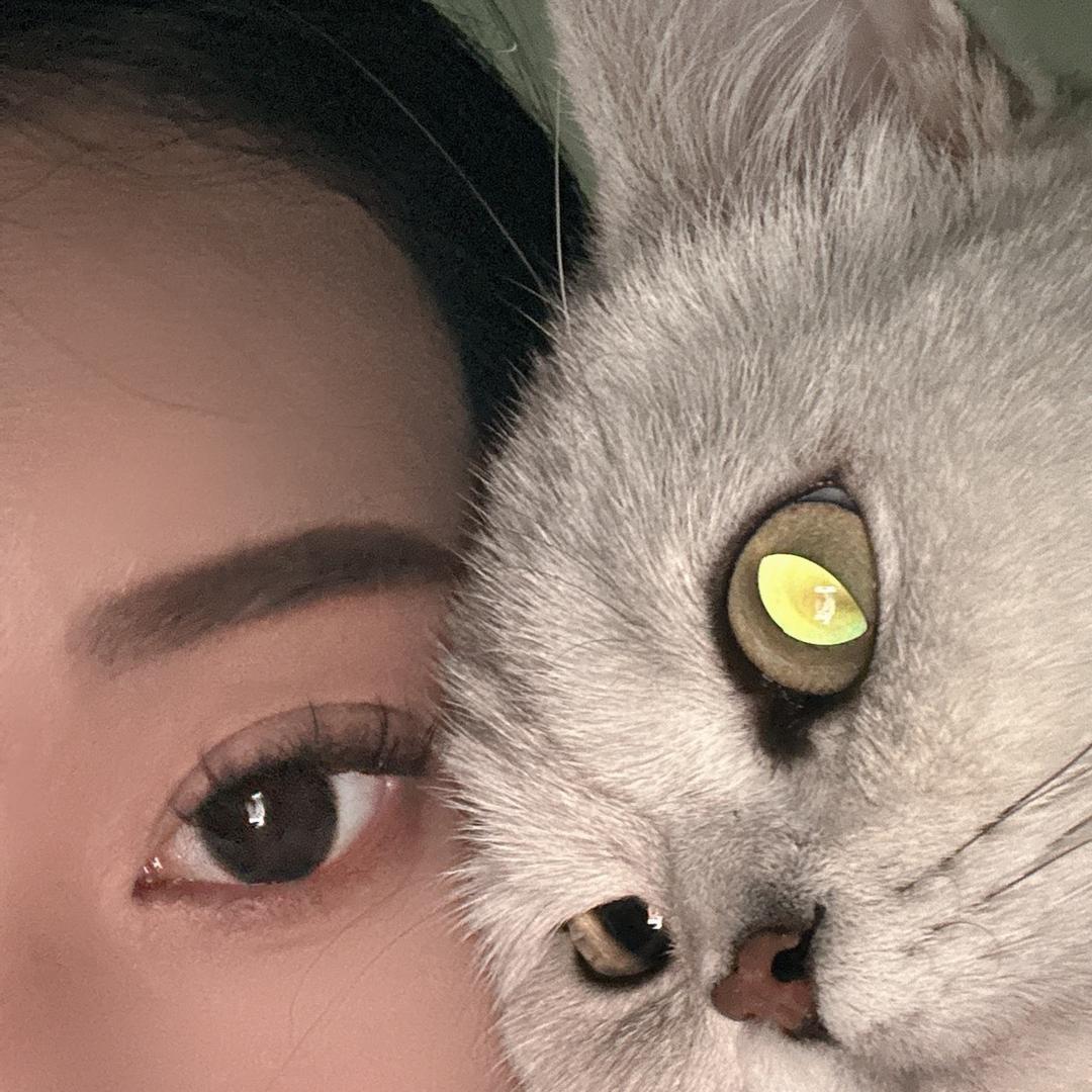°F珂.