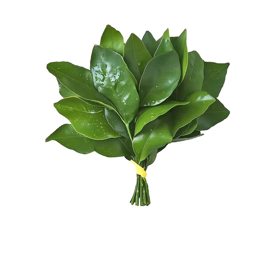 啊哦