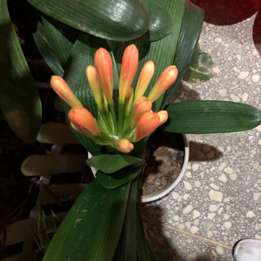 大荔县秦都酒家