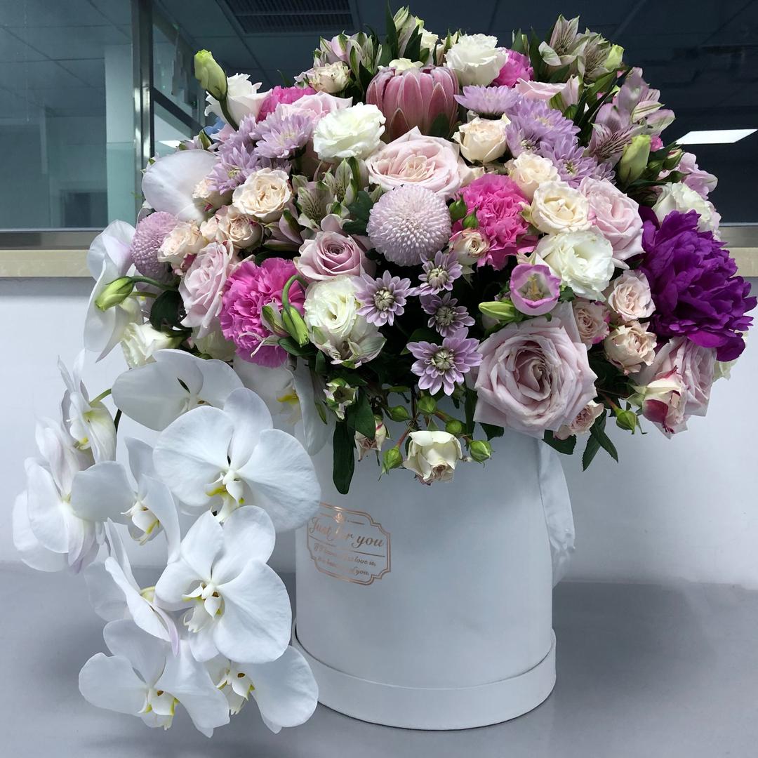 南岸青栀❤康永红🌹