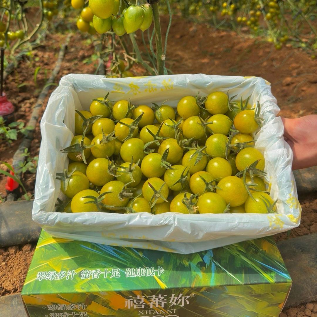 沈记＂禧蕃妳®＂ (阿吉)