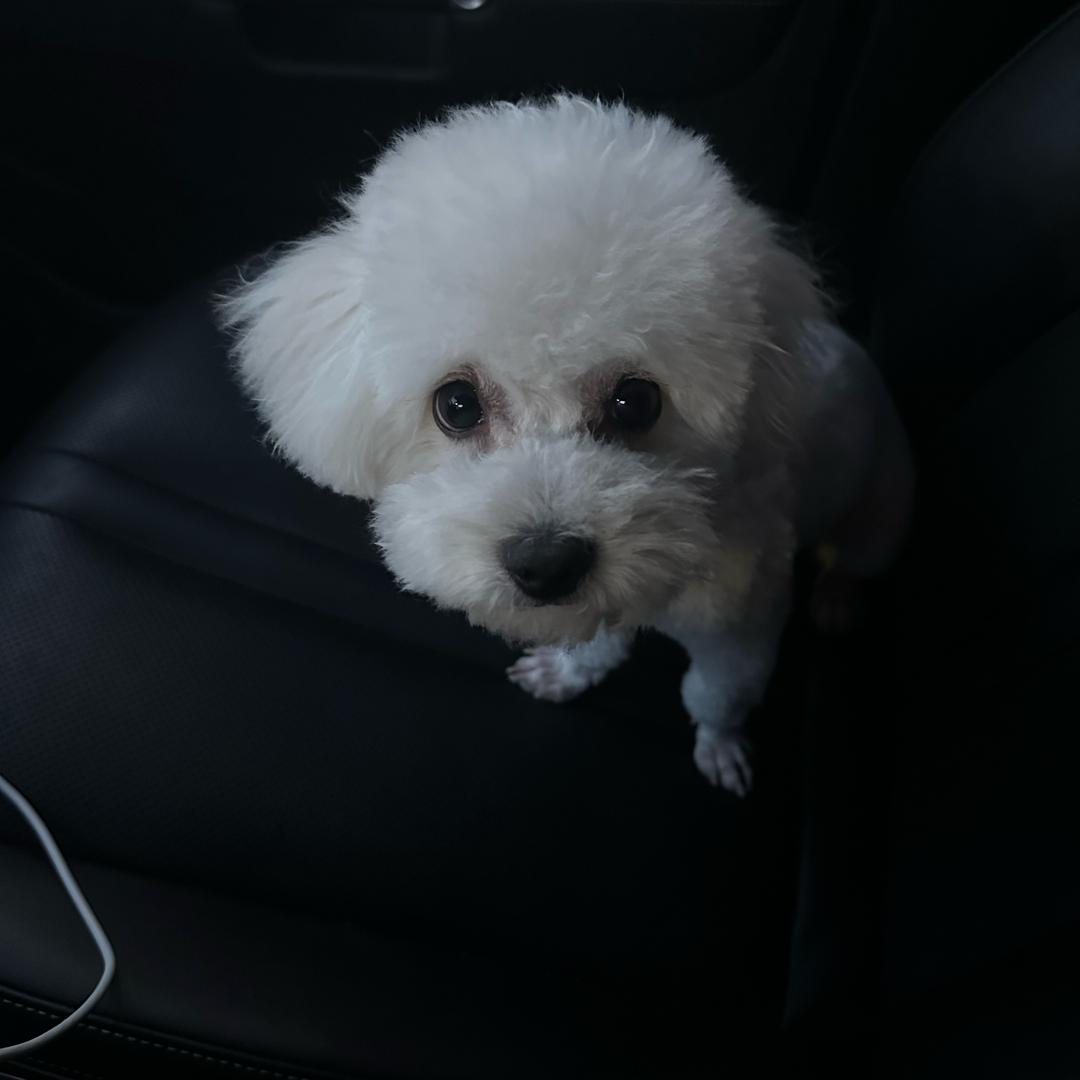 阿布（游戏搬砖）