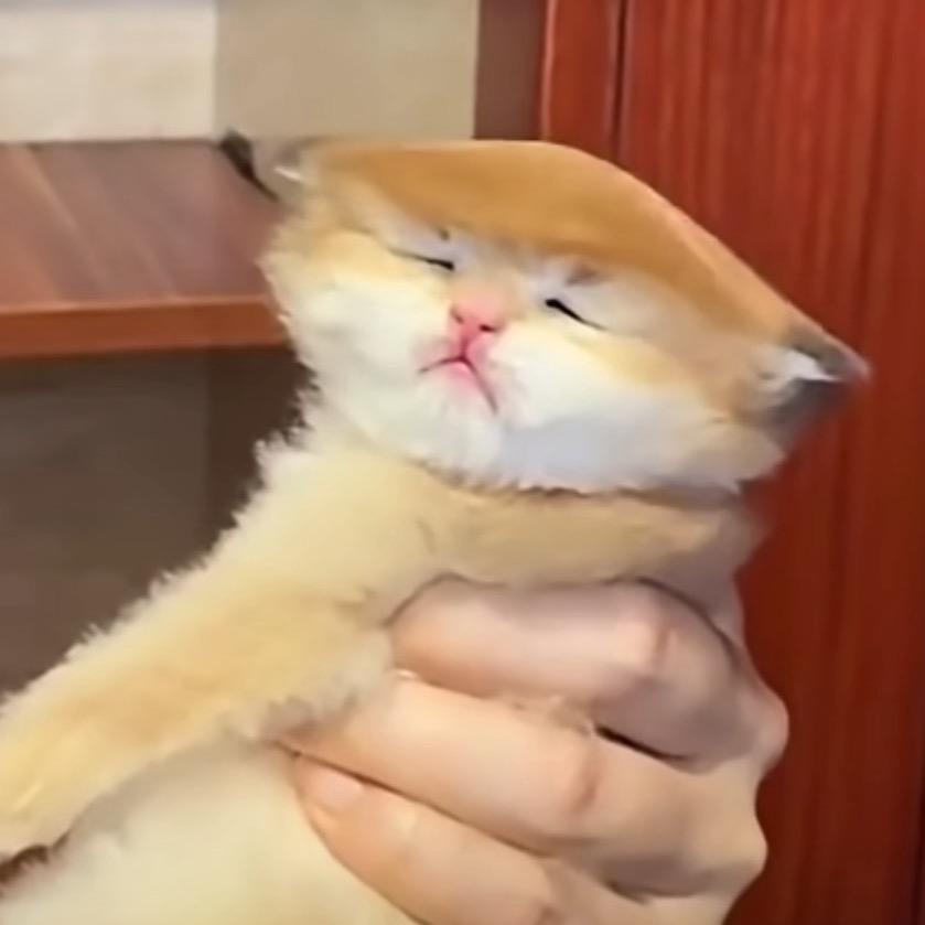 信一助