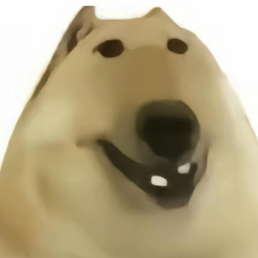 小猫咪在被窝