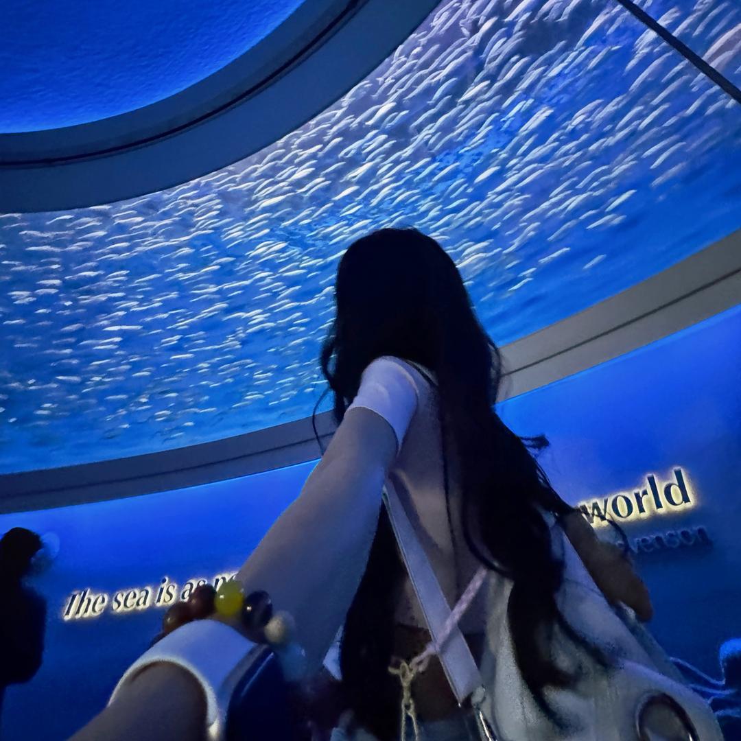 芋泥肉松小贝