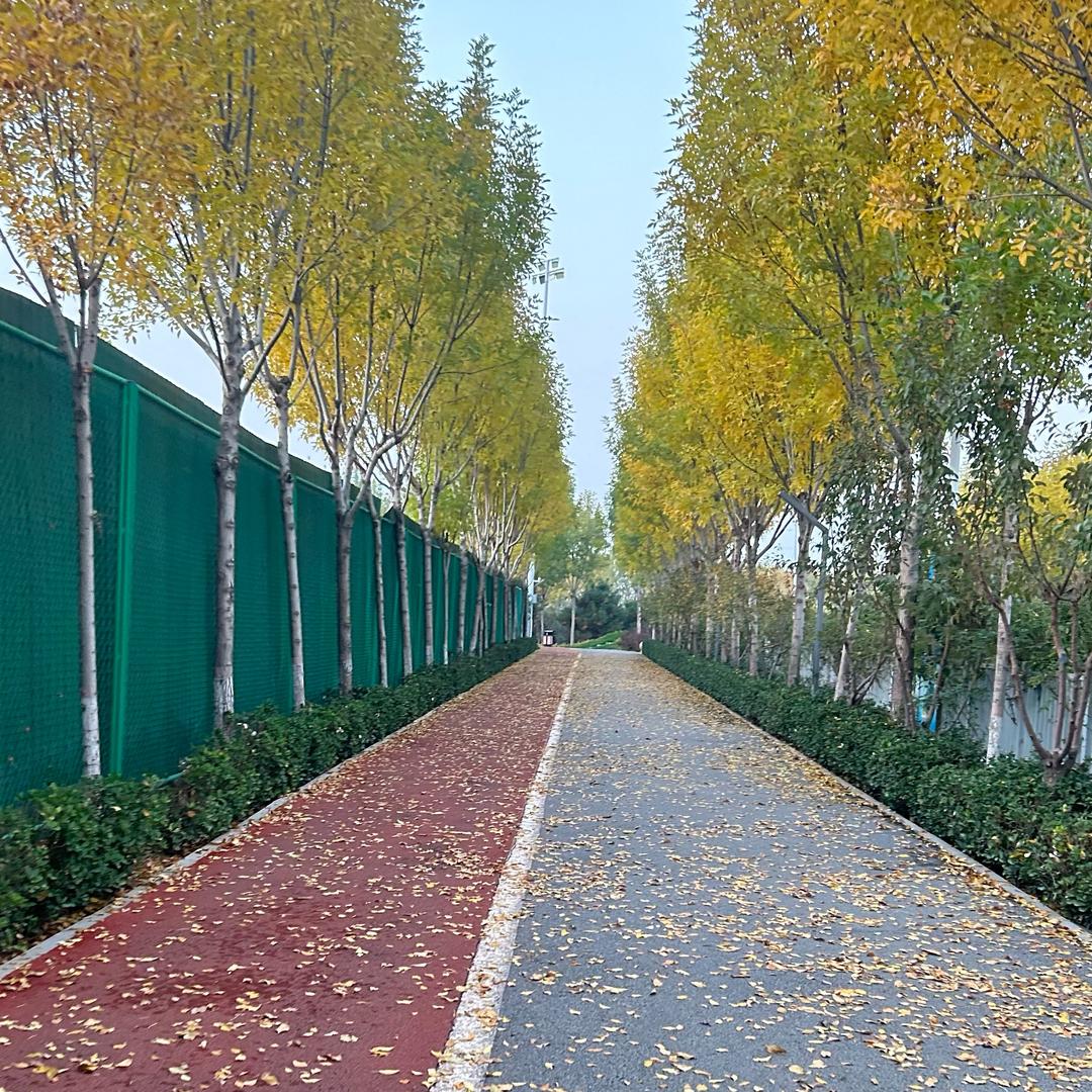 10月