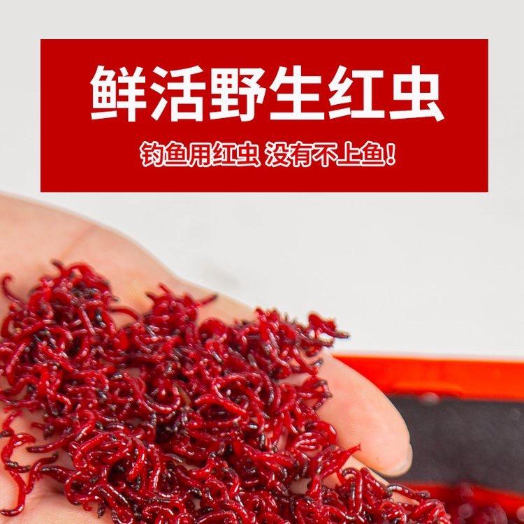 老渔夫红虫基地7号店