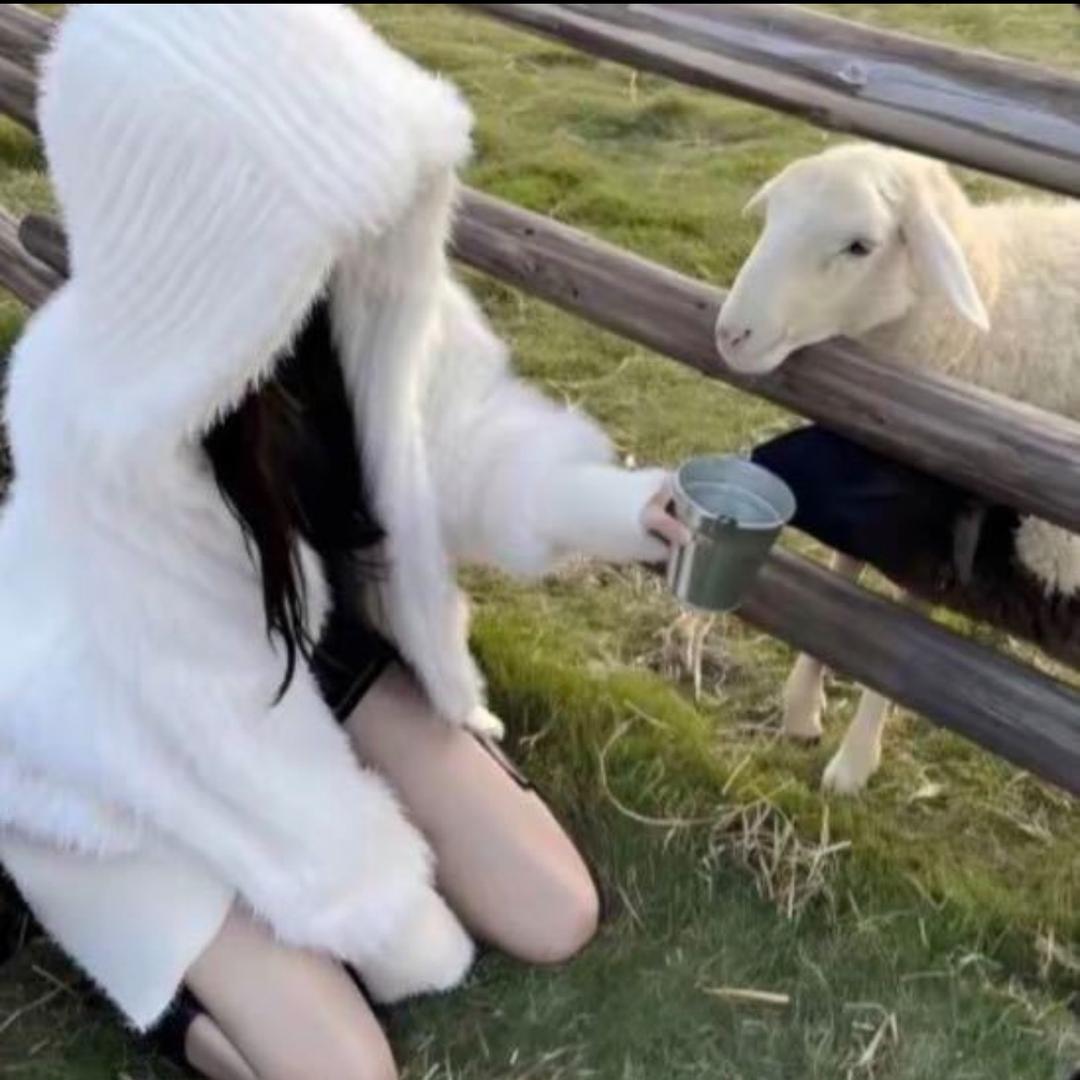 🐑🐑