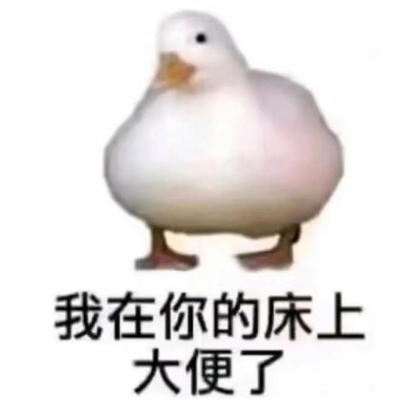拉屎鸭💩