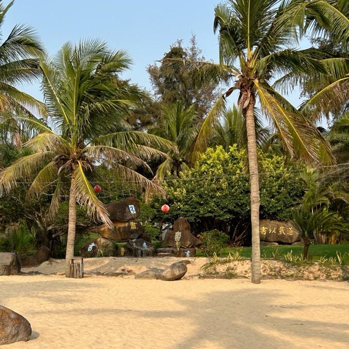 小小