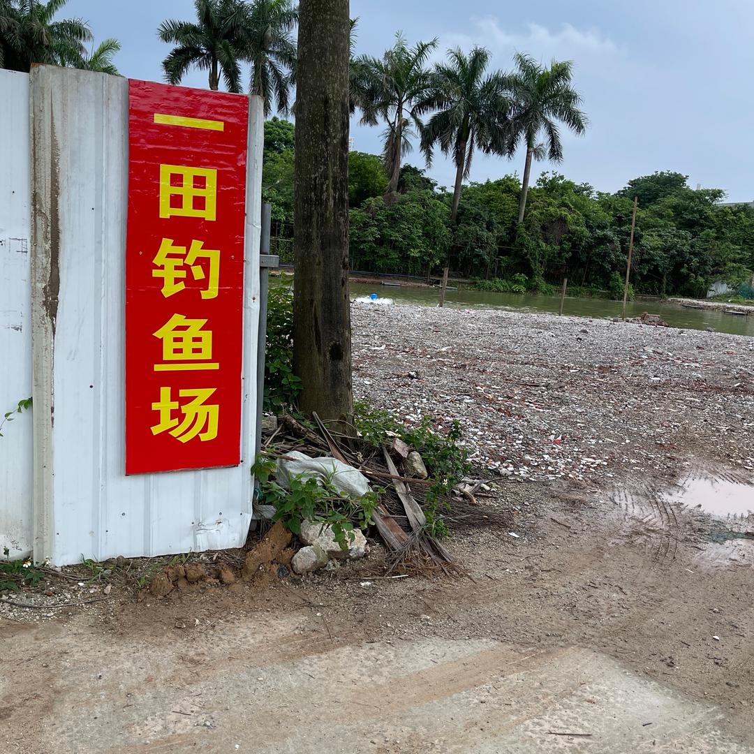 一田钓鱼场官方号