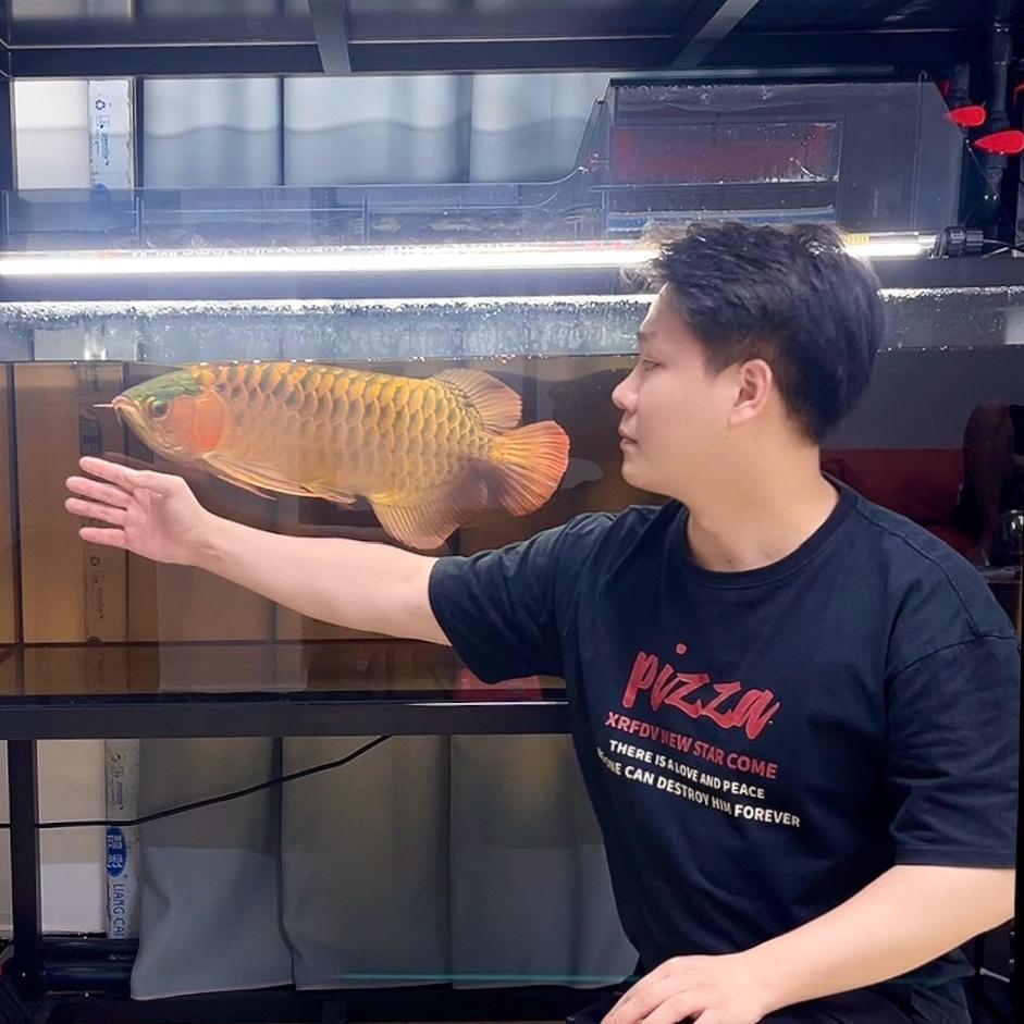 顺缘龙鱼贸易商行