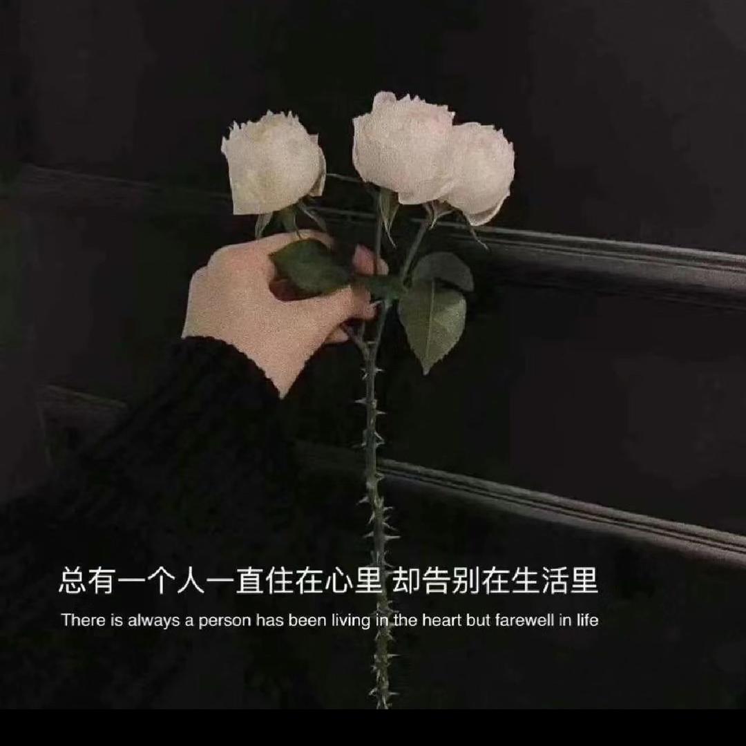 💕朵朵