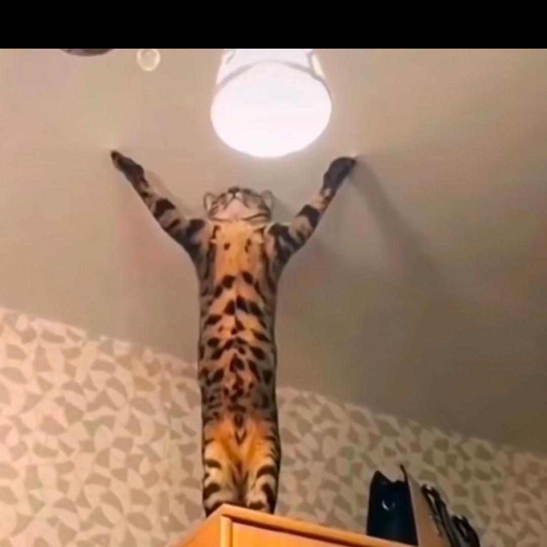 别刷了⸂⸂⸜👊⸝⸃⸃⸂⸂⸜👊⸝⸃⸃