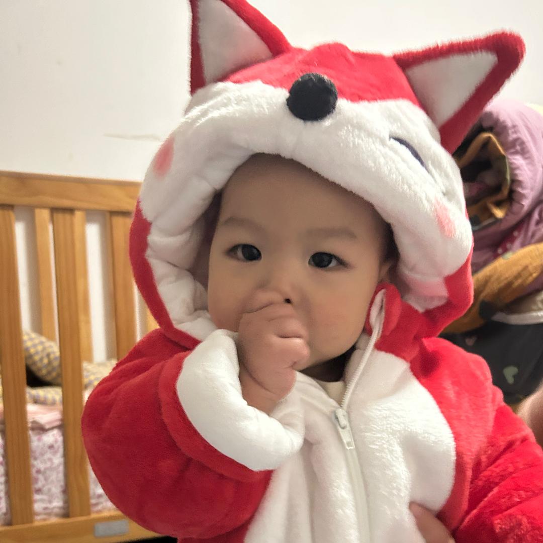 条条