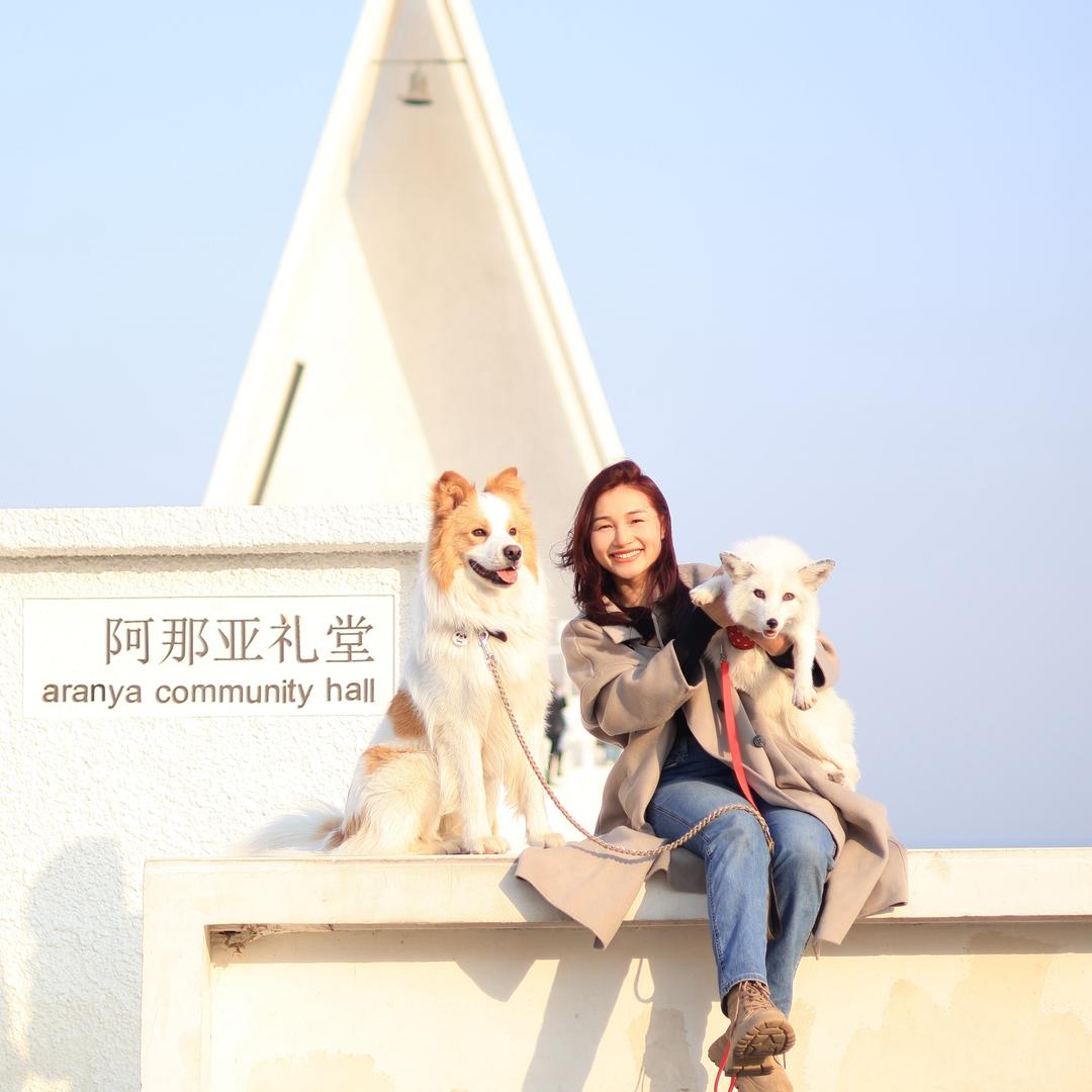 小七的旅行