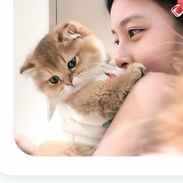 哈哈哈
