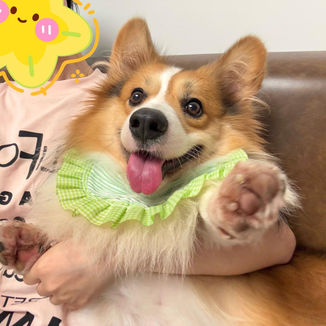 椰椰椰💜