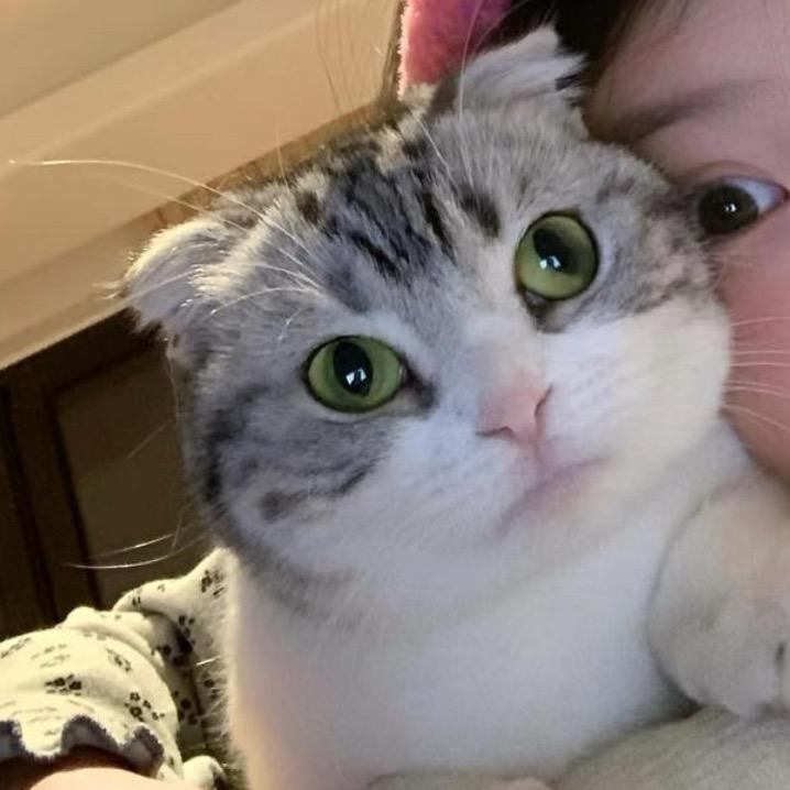 柯爱