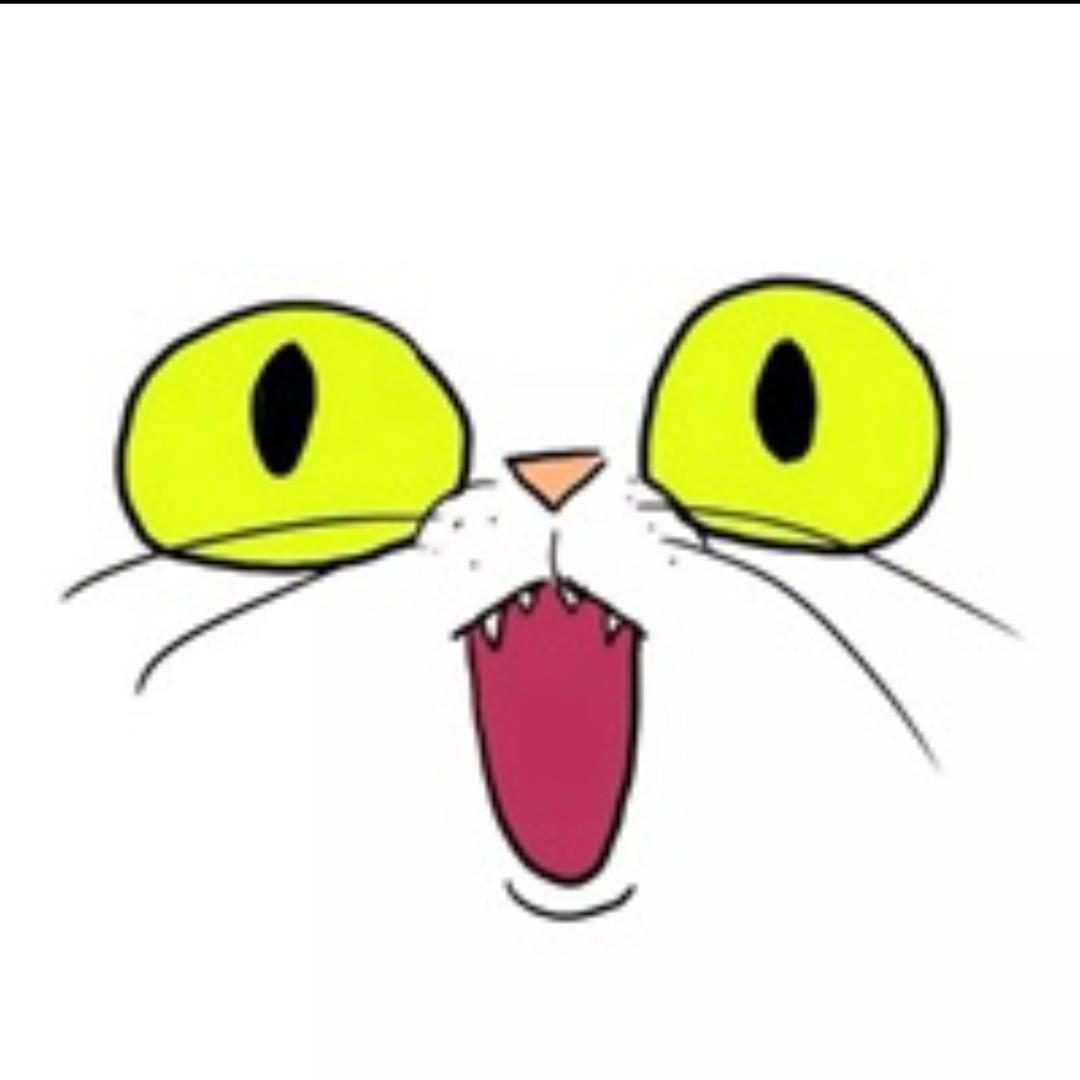 老杨完美体态运动馆