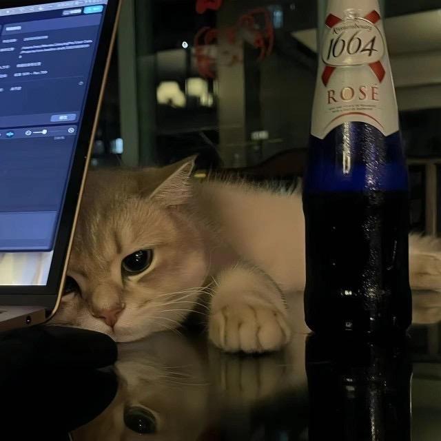 绯红的王子