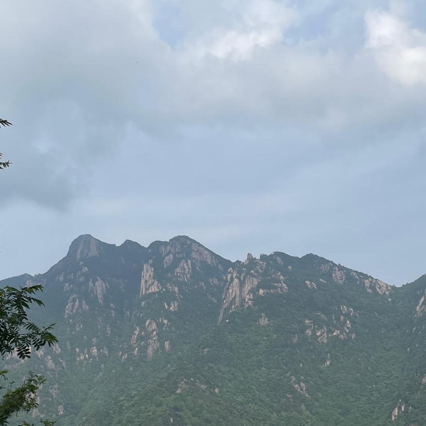 峰3639