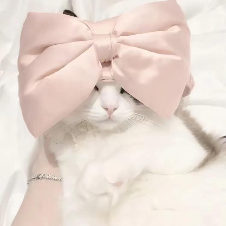 小羊不吃辣