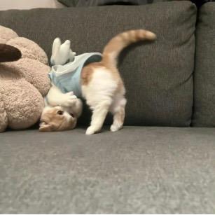 麦麦鸡腿堡（發財版）