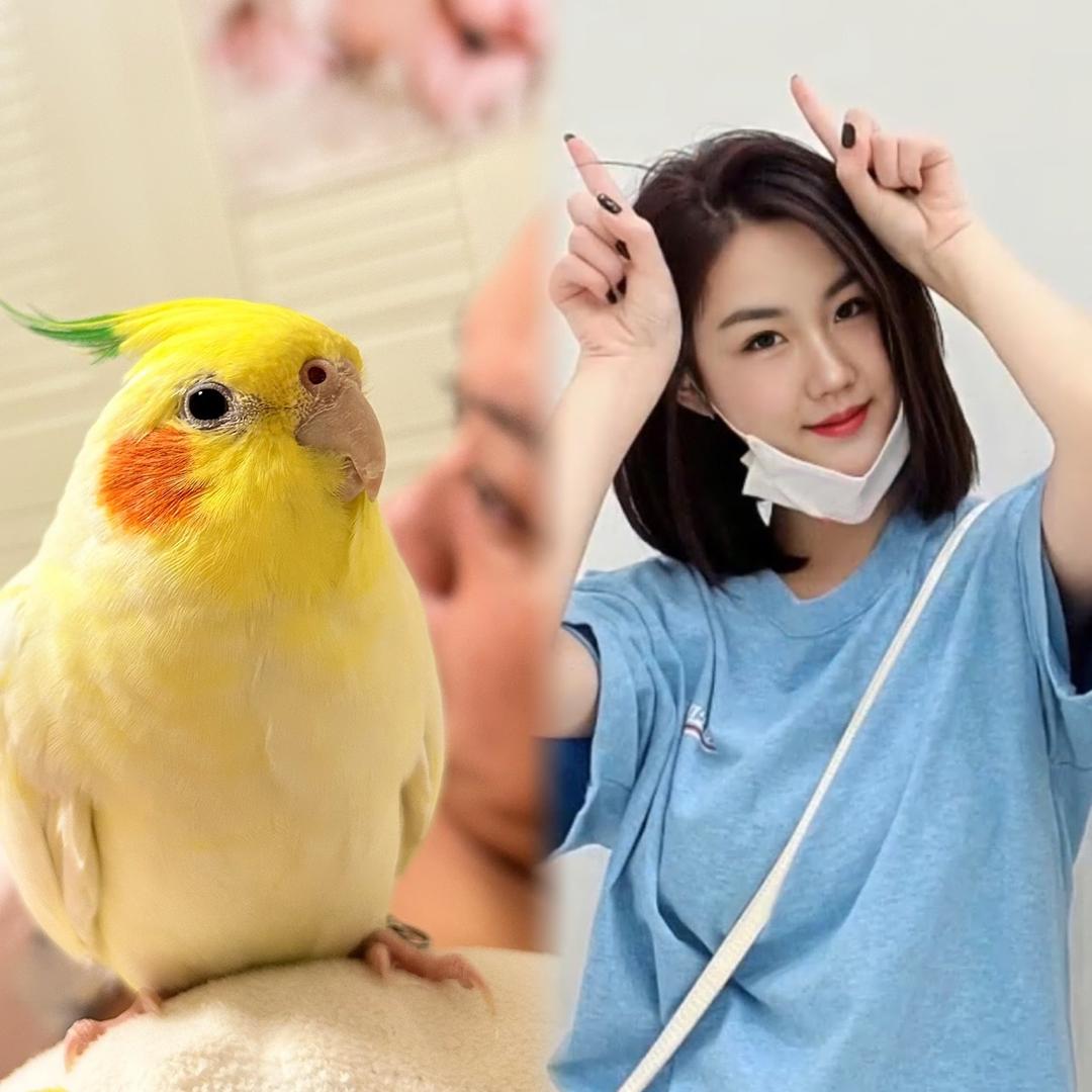 🦜龔憨憨吖⁰⁹¹⁰
