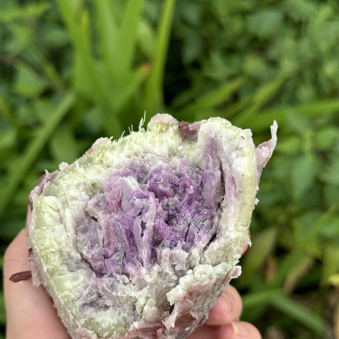 鲜乐意果蔬旗舰店