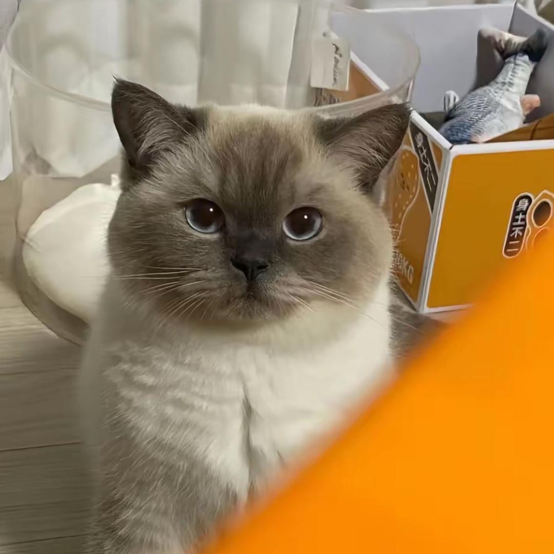 木吾木同