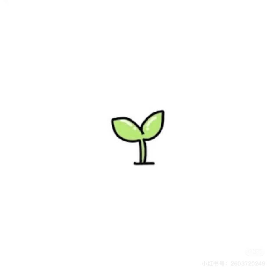 豌豆芽芽芽🌱