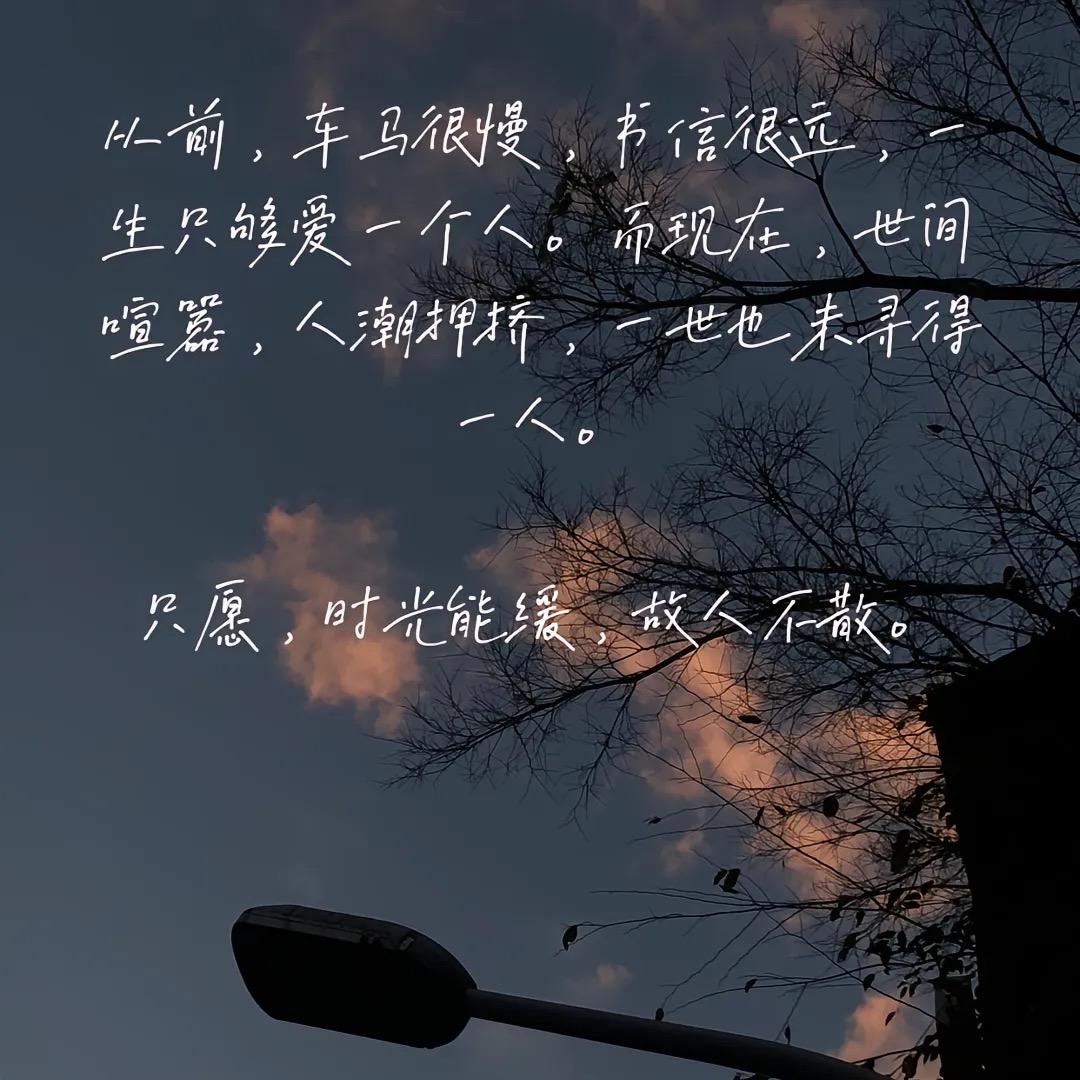 就很nice(好物在橱窗)