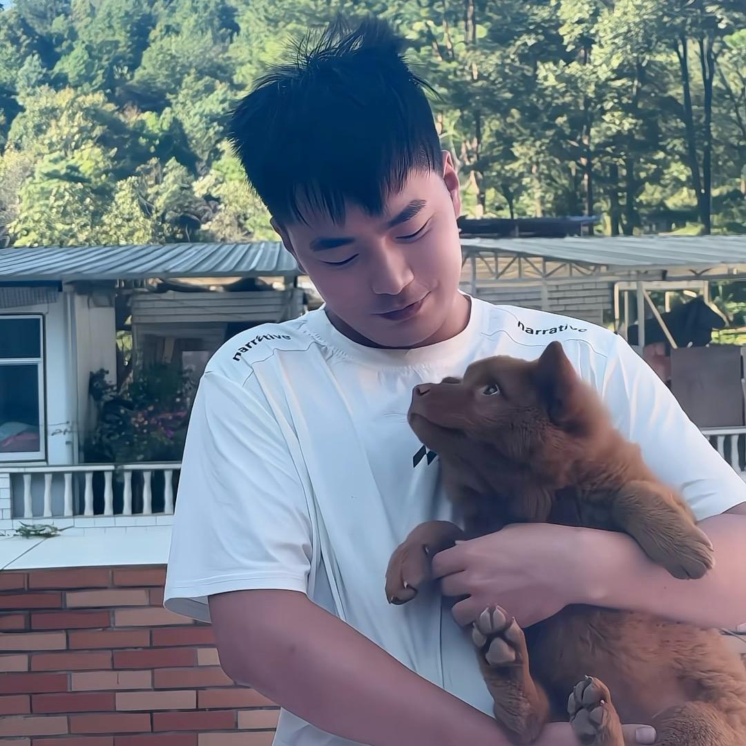 波波的五红犬《繁盛犬舍》