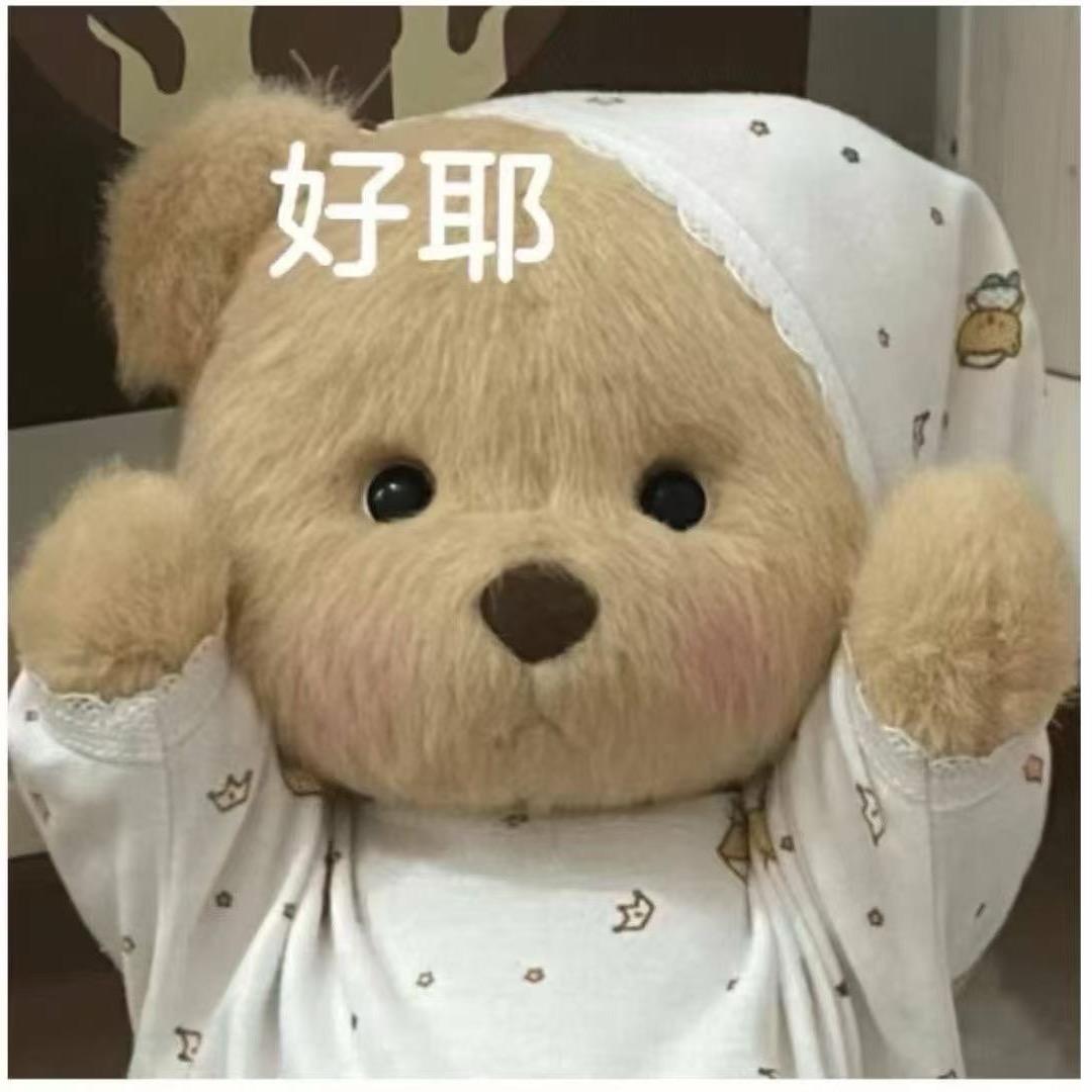 小尔带你看世界🔥