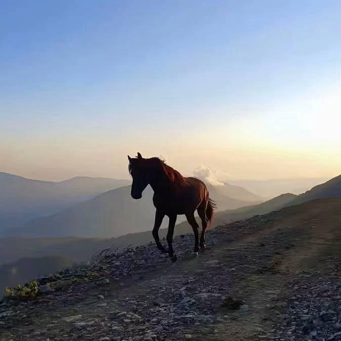 远山