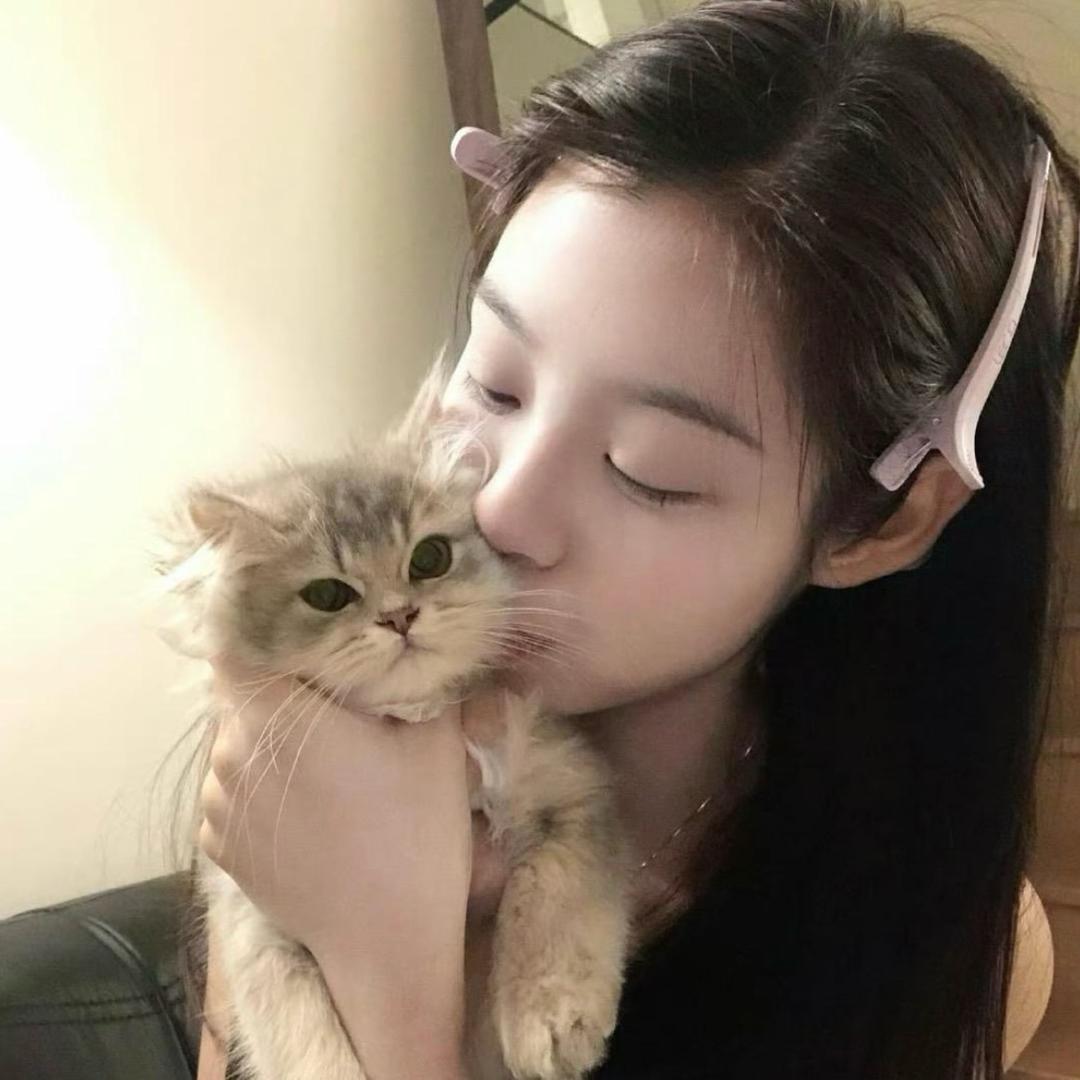 邪恶小熊