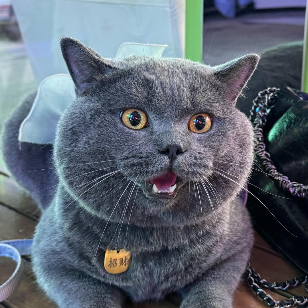 小猛男