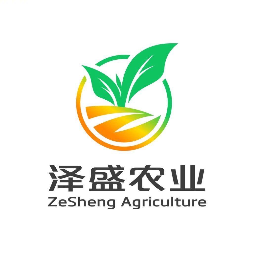 泽盛农业一阿锋