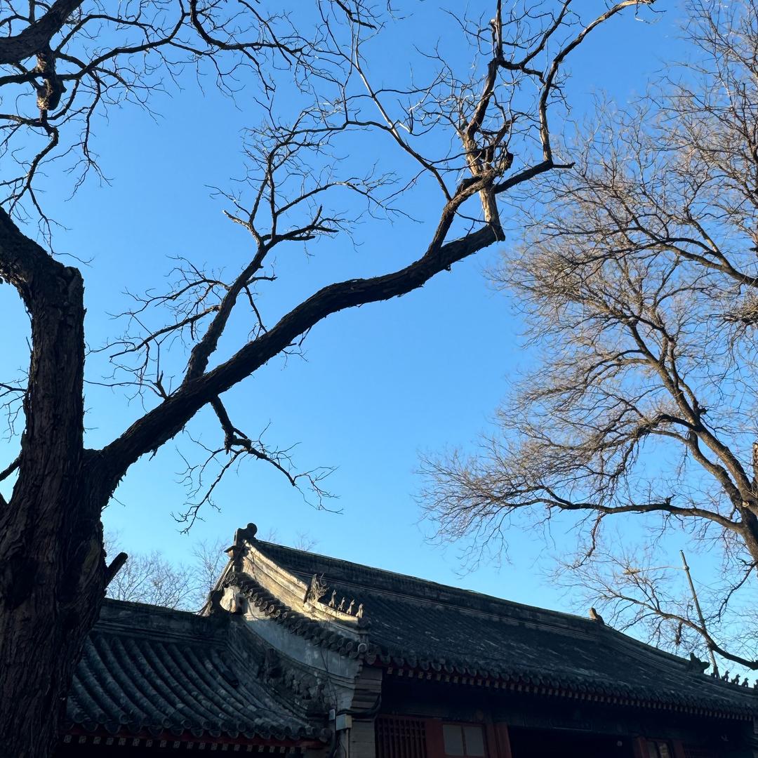 刘文祥你咋那么好吃