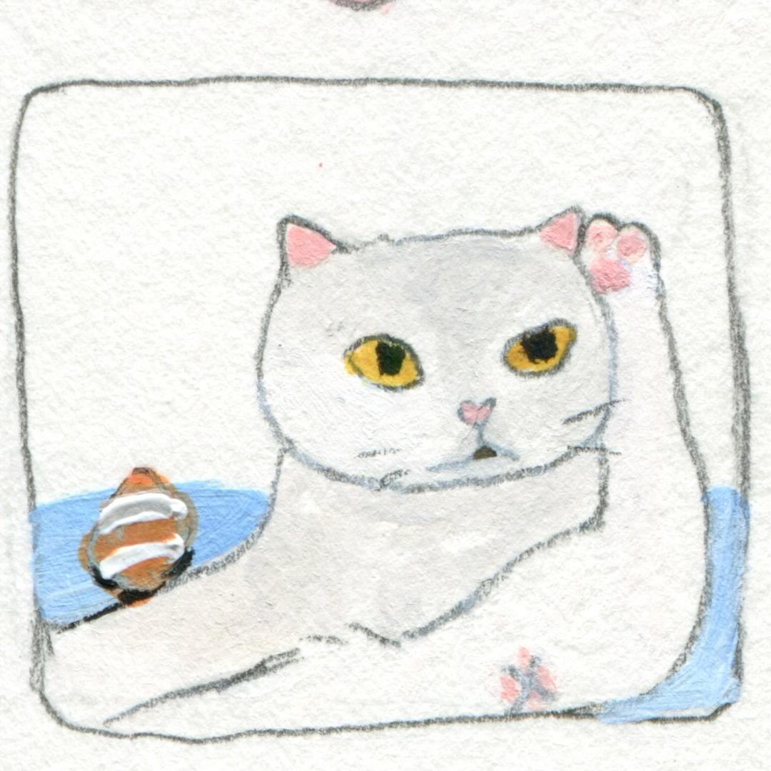 邻居家会飞的喵