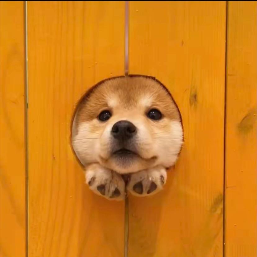 半条心语