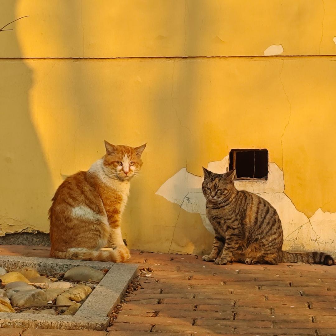 只喝一分熟的水