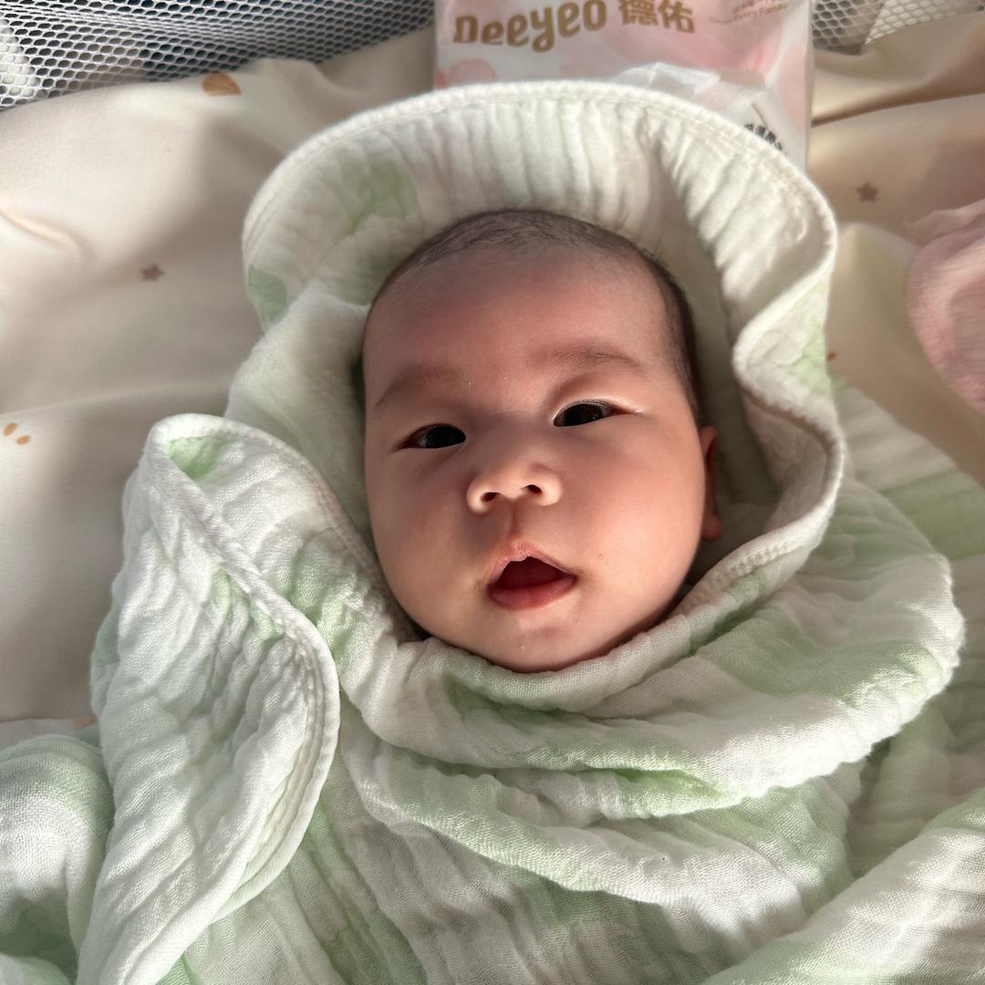 路小棠成长记