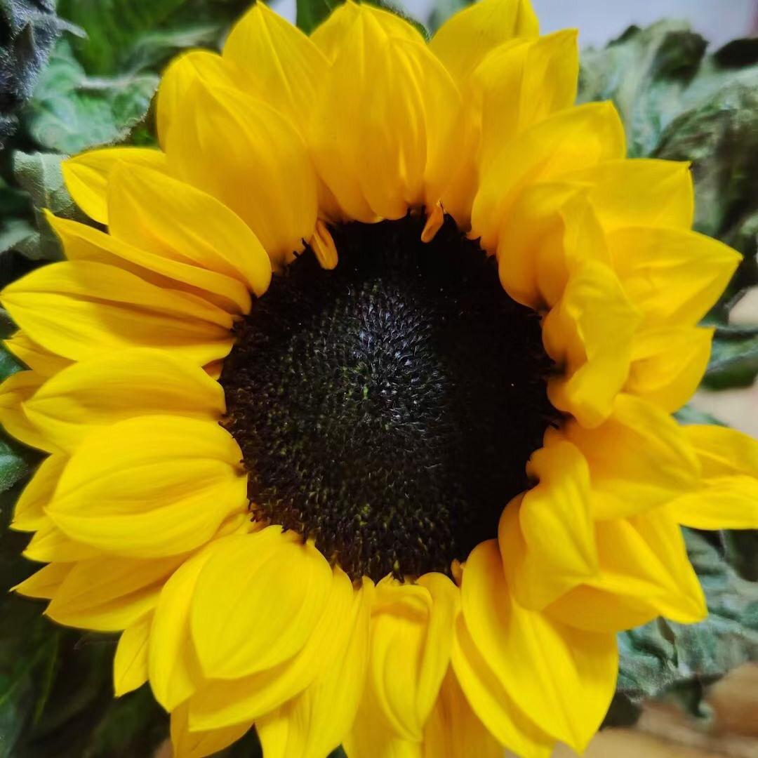 全兴驾校C1C2于教练🌞🌞