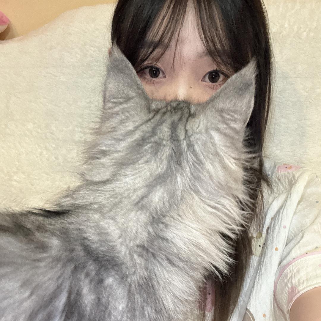关于茜茜💛