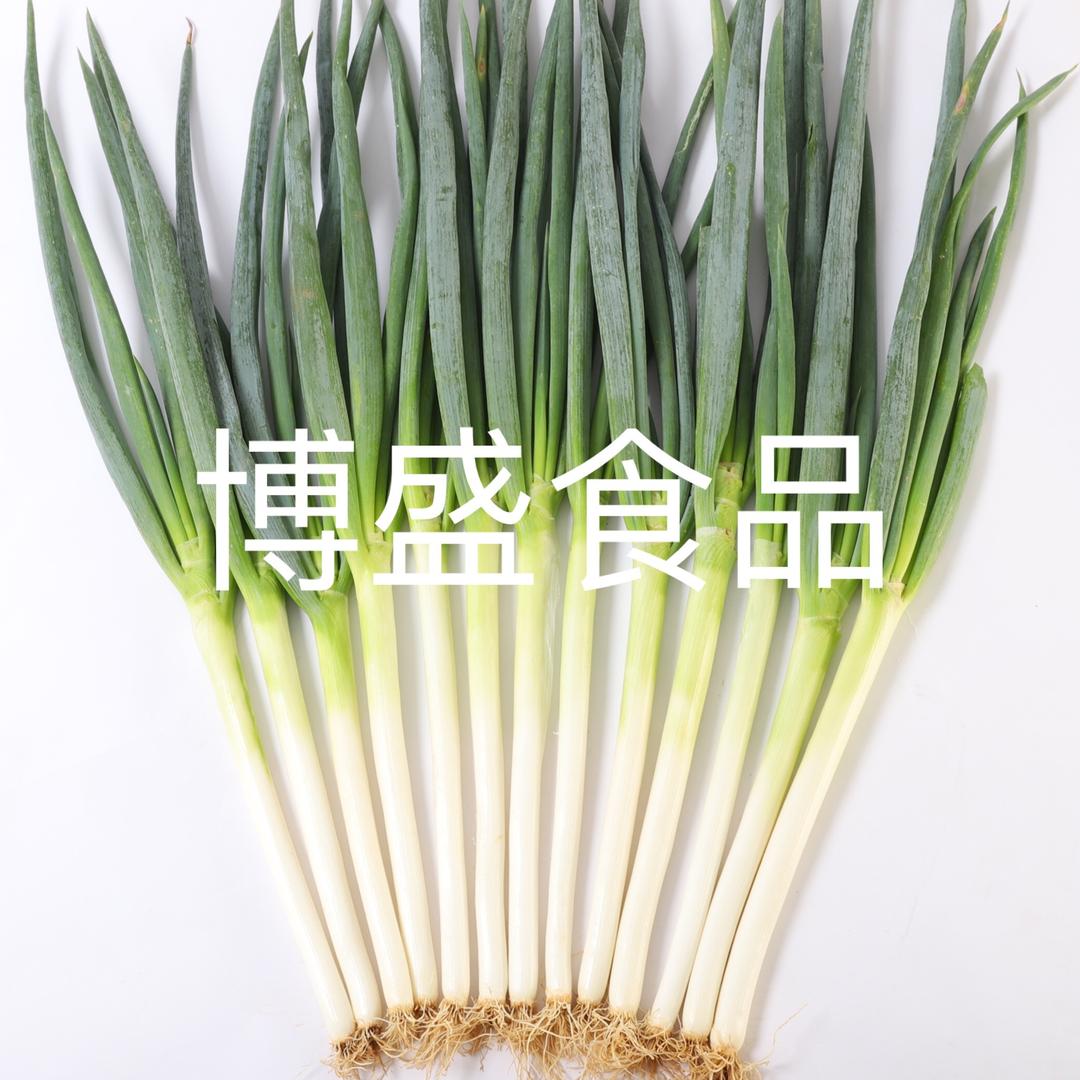葱花乡蔬菜种植专业合作社