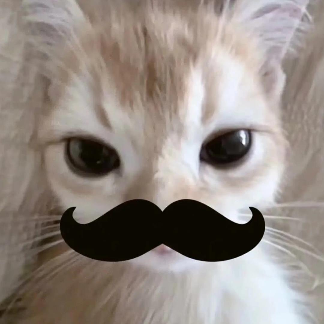 我也不太了解她