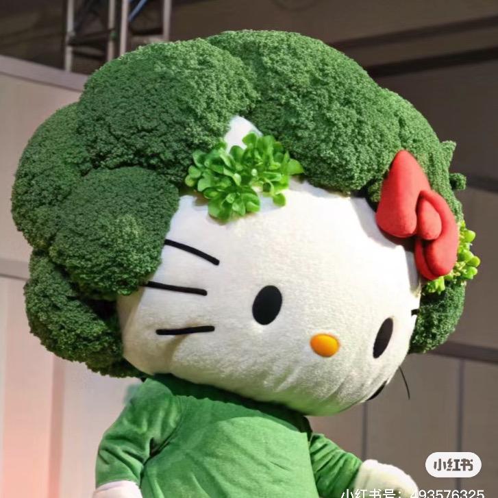 睡觉💤💤