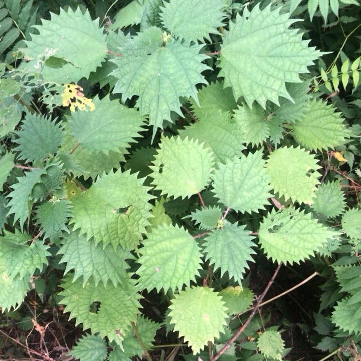 晨阳五金